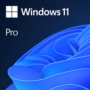 win11pro